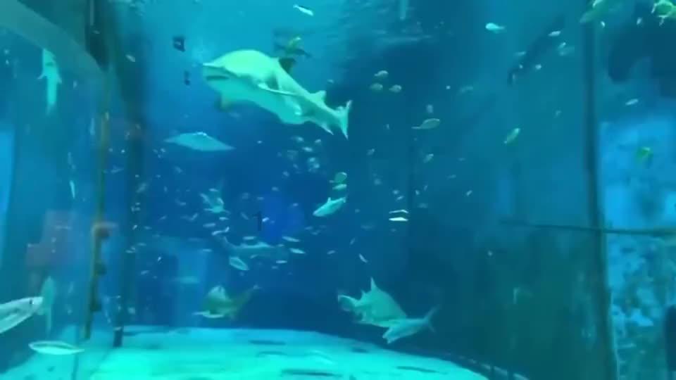 香港政府推进交椅洲人工岛项目 预计明年年底开始填海